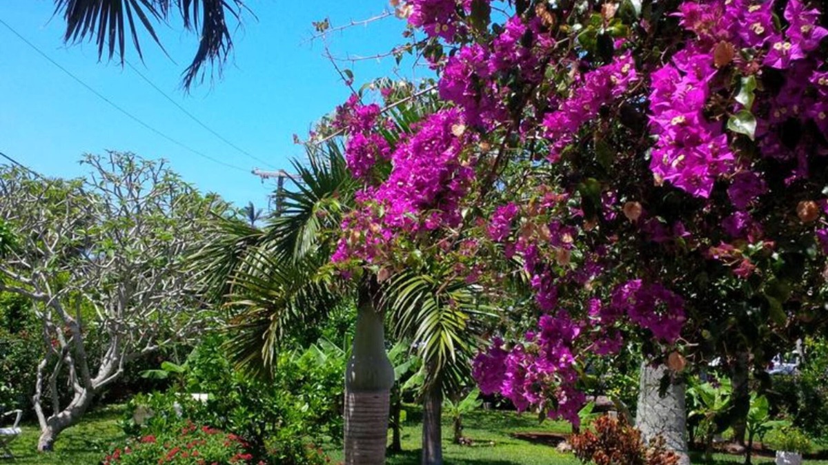 Pembroke Hotel | Royal Palms Hotel