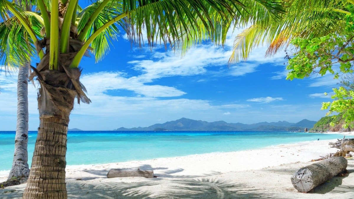 Anse Royale Apartment | Royale Suites by Arc Royale Luxury Apts