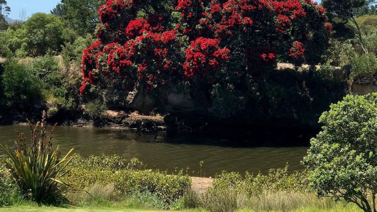 Ruakaka Apartment | Ruakaka River and Beach Apartment