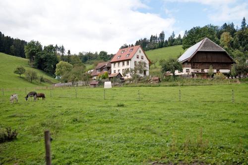 Kirchzarten Apartment | Ruhbauernhof