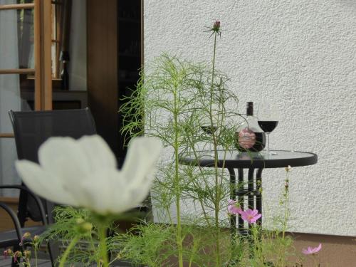 Eichenbuhl Apartment | Ruhige, charmante Ferienwohnung "Im Erftal"