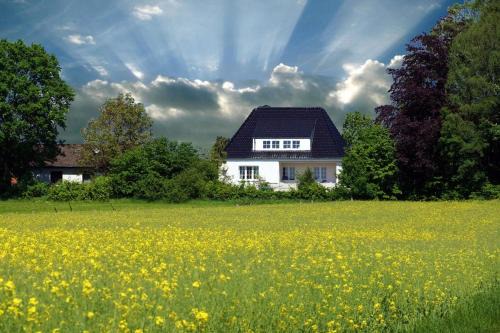 Bad Meinberg Apartment | Ruhige Ferienwohnung mit Waldblick