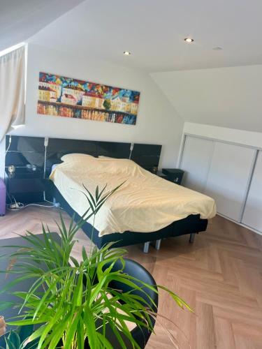 Leeuwarden House | Ruime slaap kamer met werkplek en privé badkamer bij Jacqueline