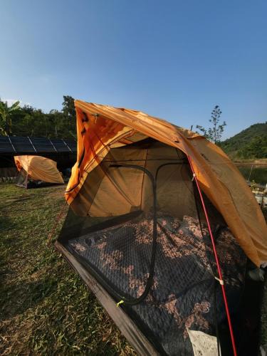 Tan Lac Other | Rừng - The Cozy Place