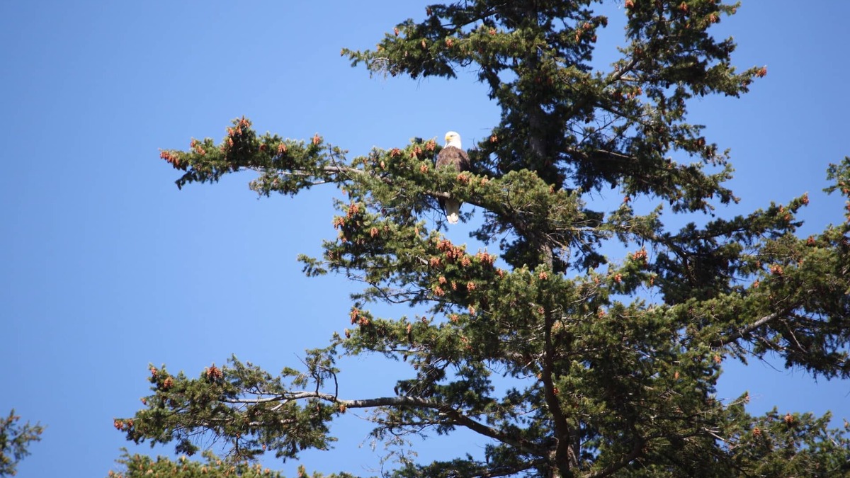 Gibsons Apartment | Runner, Bikers, Writers, Nature Lovers - A Family Friendly Vacation Home for You