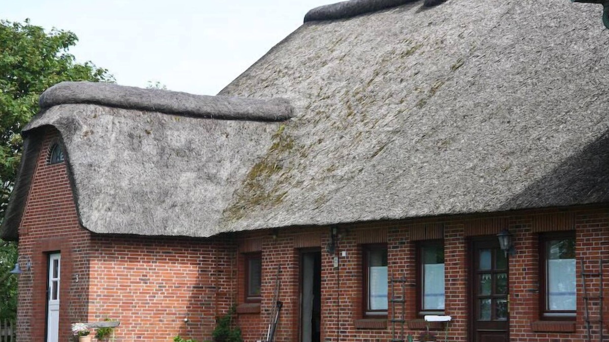 Tating Apartment | Rural and secluded, yet close to the spa
