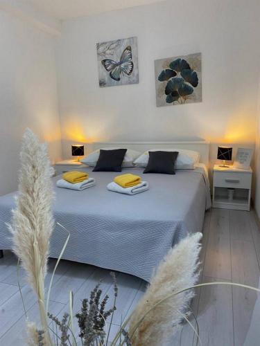 Bristane Apartment | Rural Apartment Ante