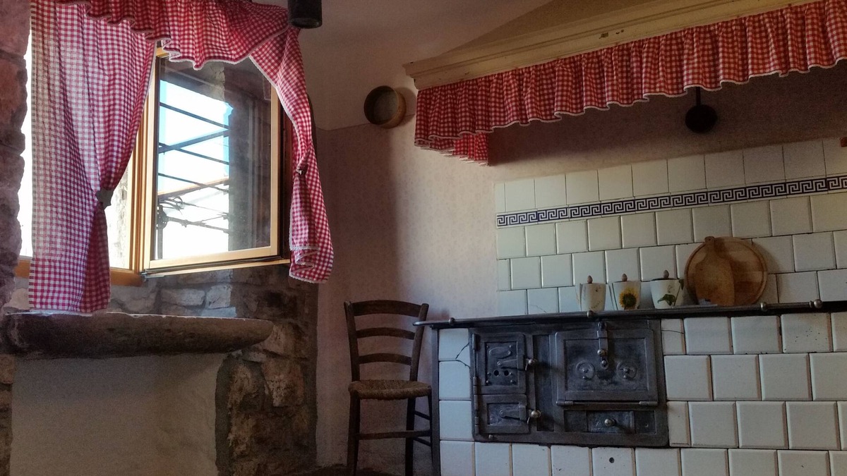 Zrenj House | RURAL APARTMENT CAROLINA