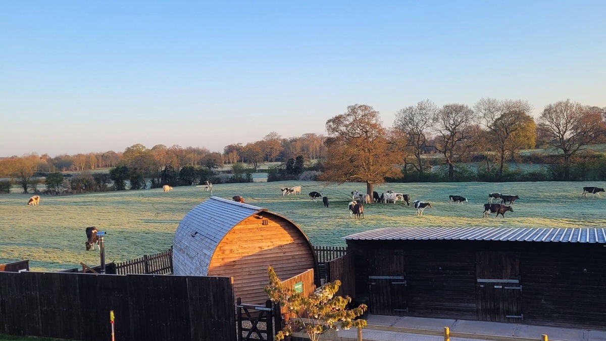 Whitchurch Cabin | Rural Cosy Cabin with Wood-Fired Hot Tub