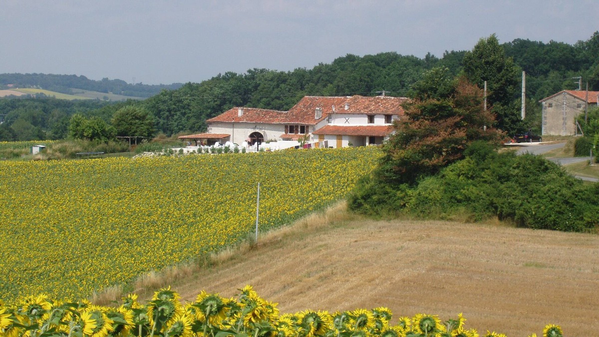 Boisne-la-Tude House | Rural gite for 4 with private terrace, shared large pool and games room