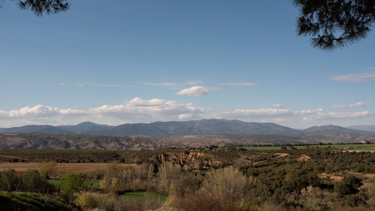 Casa de Uceda Cottage | Rural House El Olmo Guadalajara. Rest in the middle of nature