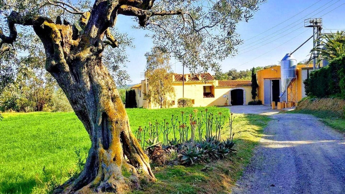 Garriguella Cottage | Rural house (full rental) Mas Hortus for 13 peopleOffers