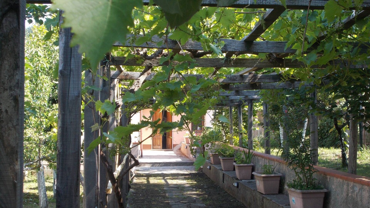 San Nicolo House | Rural house surrounded by greenery
