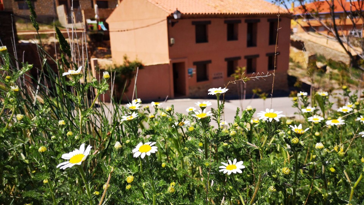 Cella Cottage | Rural house with barbecue in Teruel