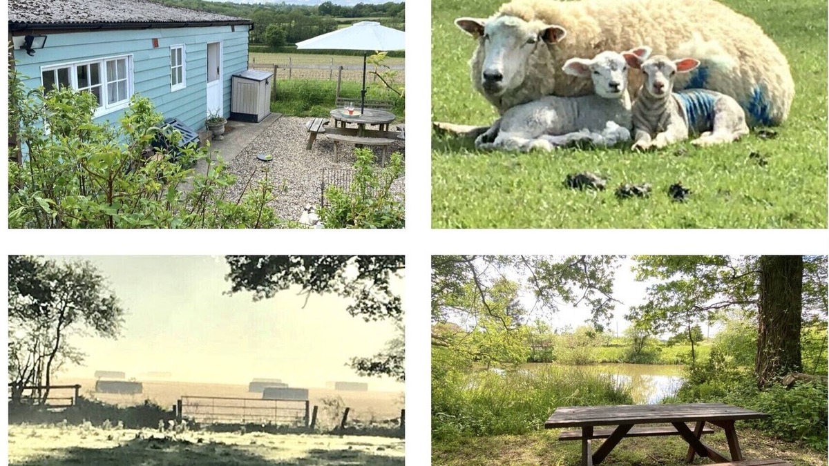 Cranbrook Ski Chalet | Rural Retreat in Idyllic Countryside - ideal for fishing , dogs & walks