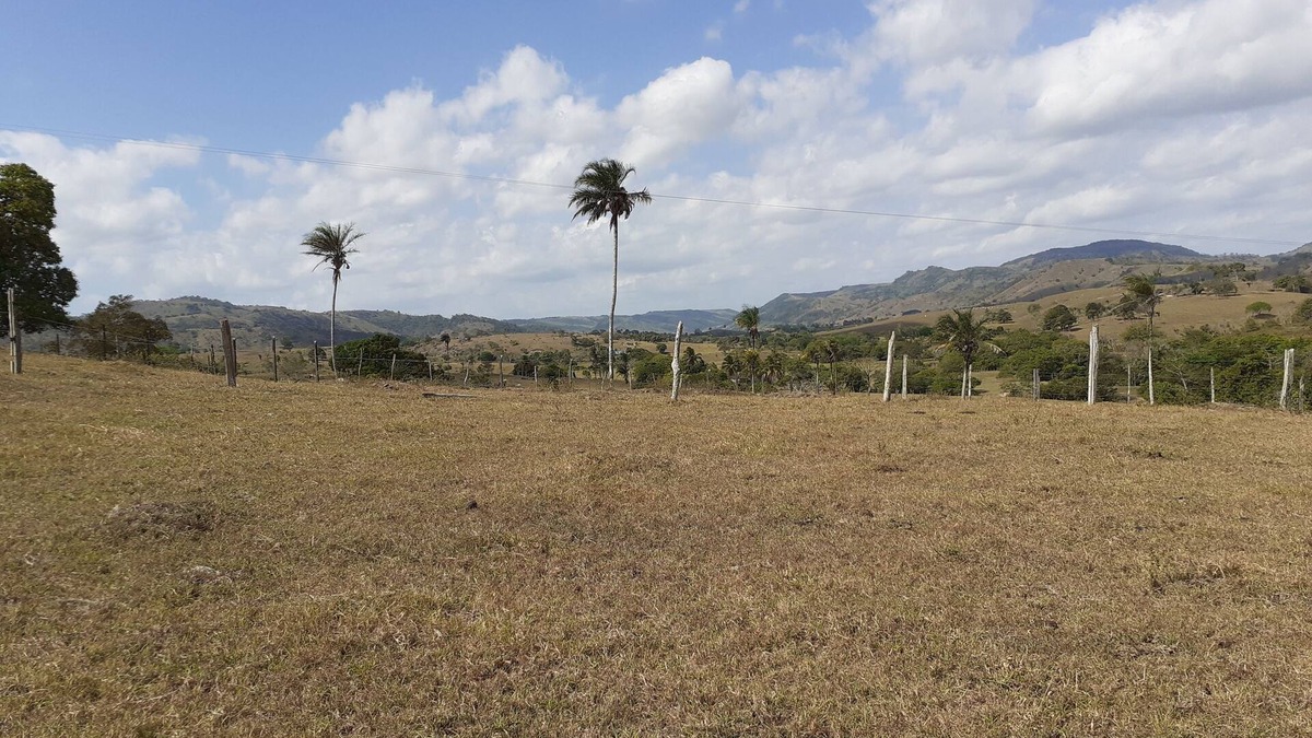 Boca da Mata House | Rural tourism, five kilometers from the city of Boca da Mata. Ecological environment