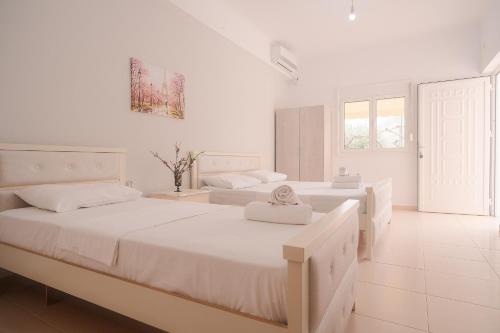 Qeparo Apartment | Rusha Family