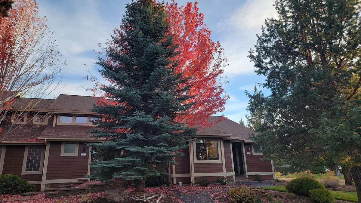 Redmond Condo | Russ And Mary's Mountain High Bungalow (Includes 6 guest passes)
