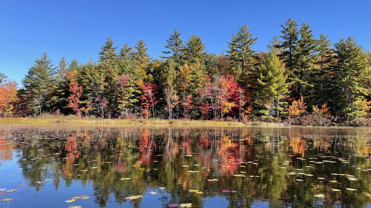 Pittsfield House | Rustic and luxurious 4 bedroom house on secluded NH lake!