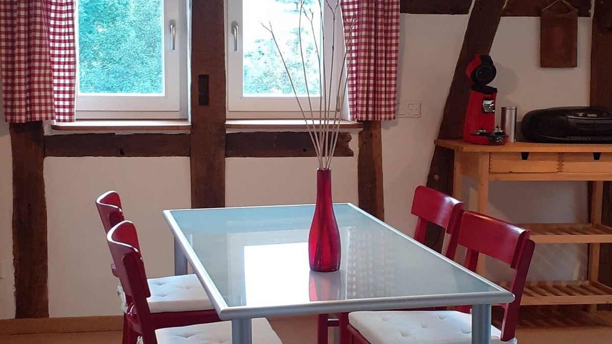 Wiesenbach Apartment | Rustic apartment