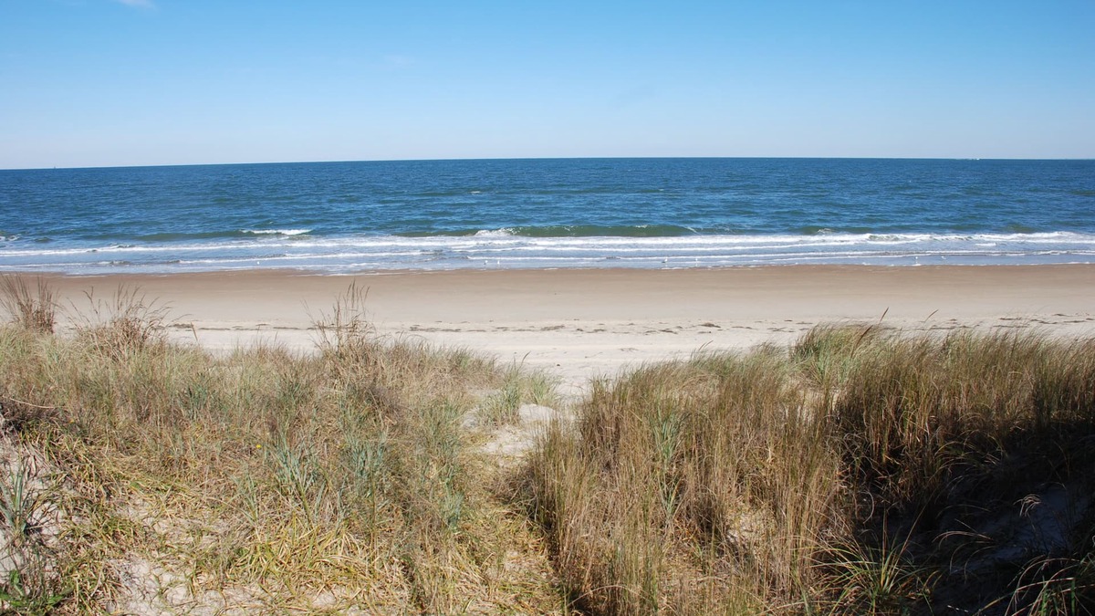 Bayview Cottage | Rustic Beach Front Apartment - Cozy, Rustic and On the Beach! - 2 BR/1 Bath
