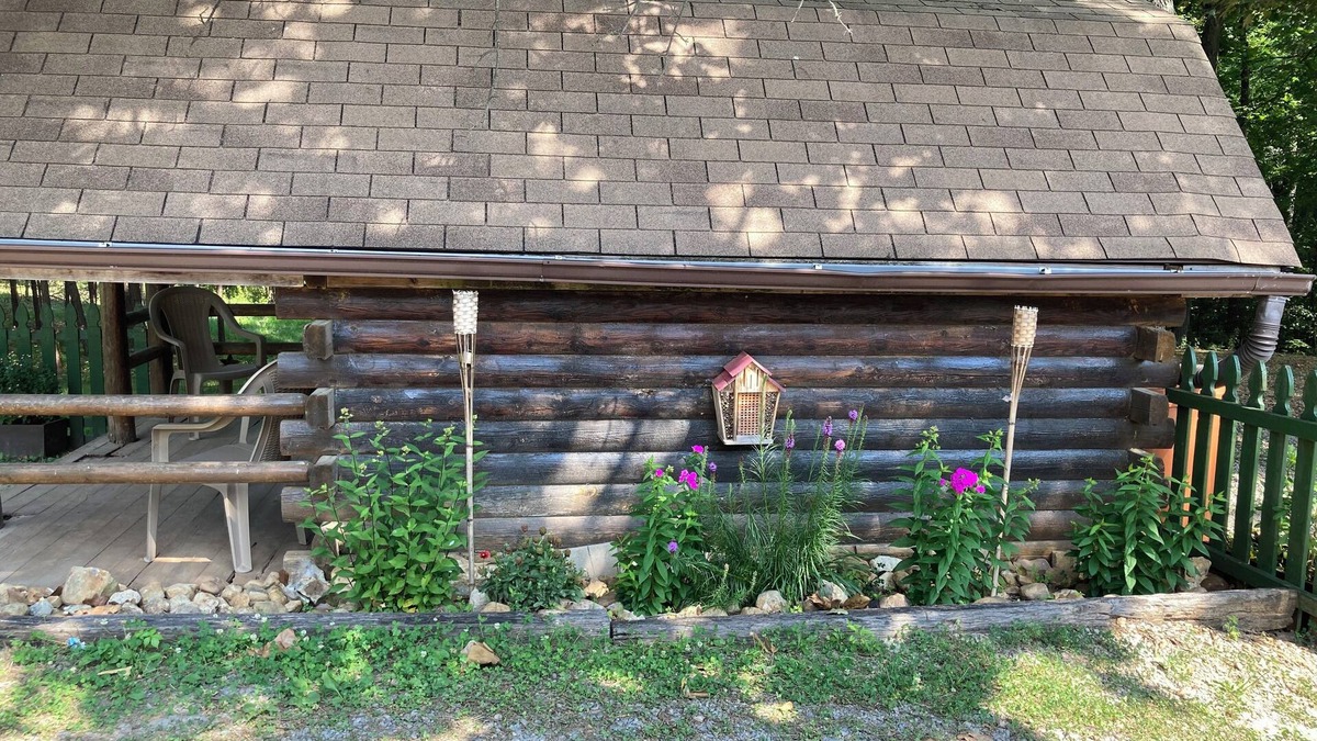 Aurora Cabin | Rustic Bee Cabin - camping