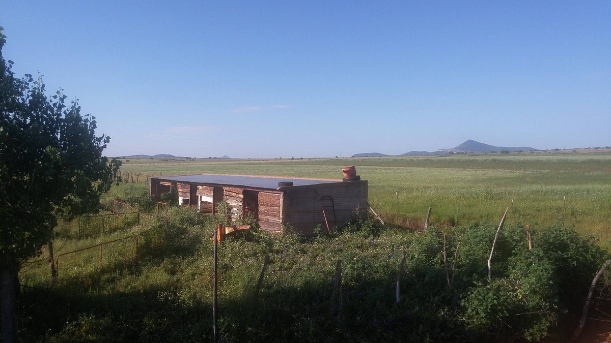 Cuauhtemoc Cabin | Rustic cabin surrounded by nature