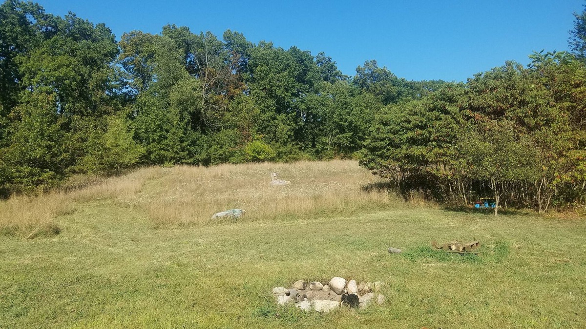 Dowagiac House | Rustic camping on 20 Acres of woods and millions of stars in Dowagiac, MI.