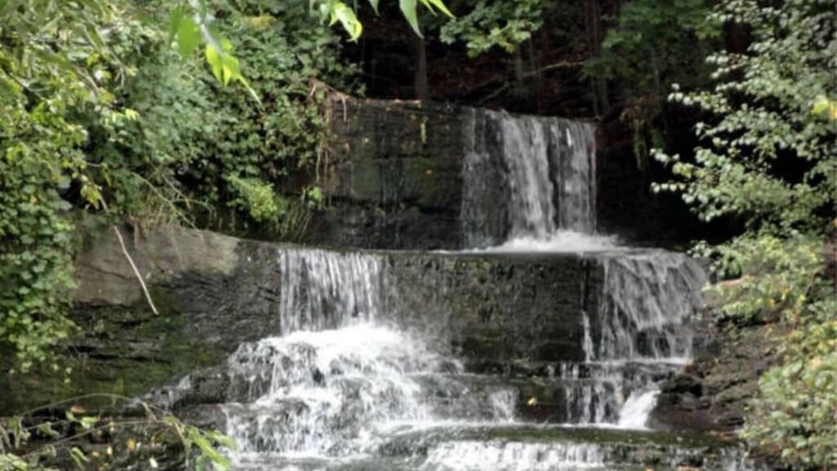 Northwest Ithaca Cottage | Rustic, Cozy Cottage with Backyard Waterfall and Cayuga Lake Views!