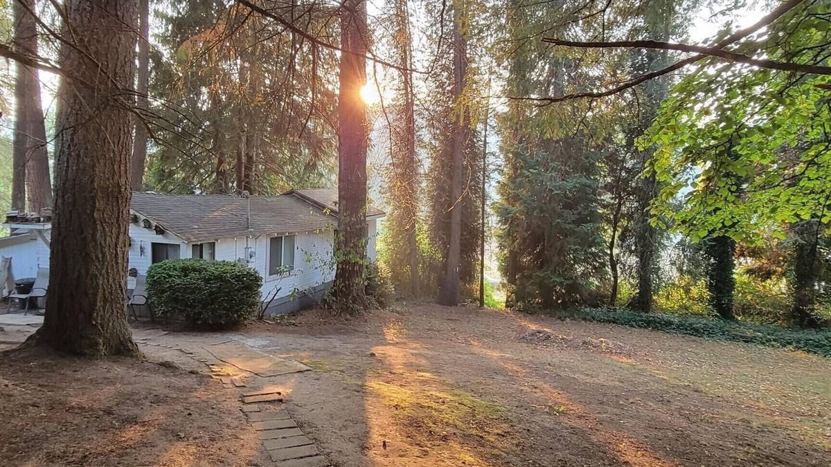 Clatskanie Cabin | Rustic forest cabin - perfect for solo travelers who cherish privacy and quiet.