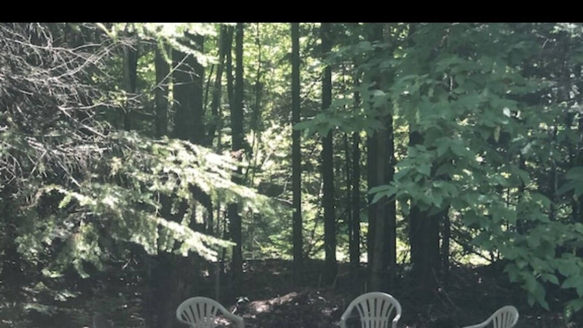 Ontonagon Cottage | Rustic Hot Tub & Games Cottage