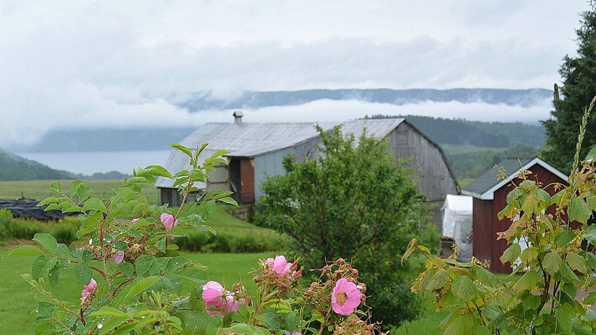 Sainte Rose du Nord House | Rustic House Fjord