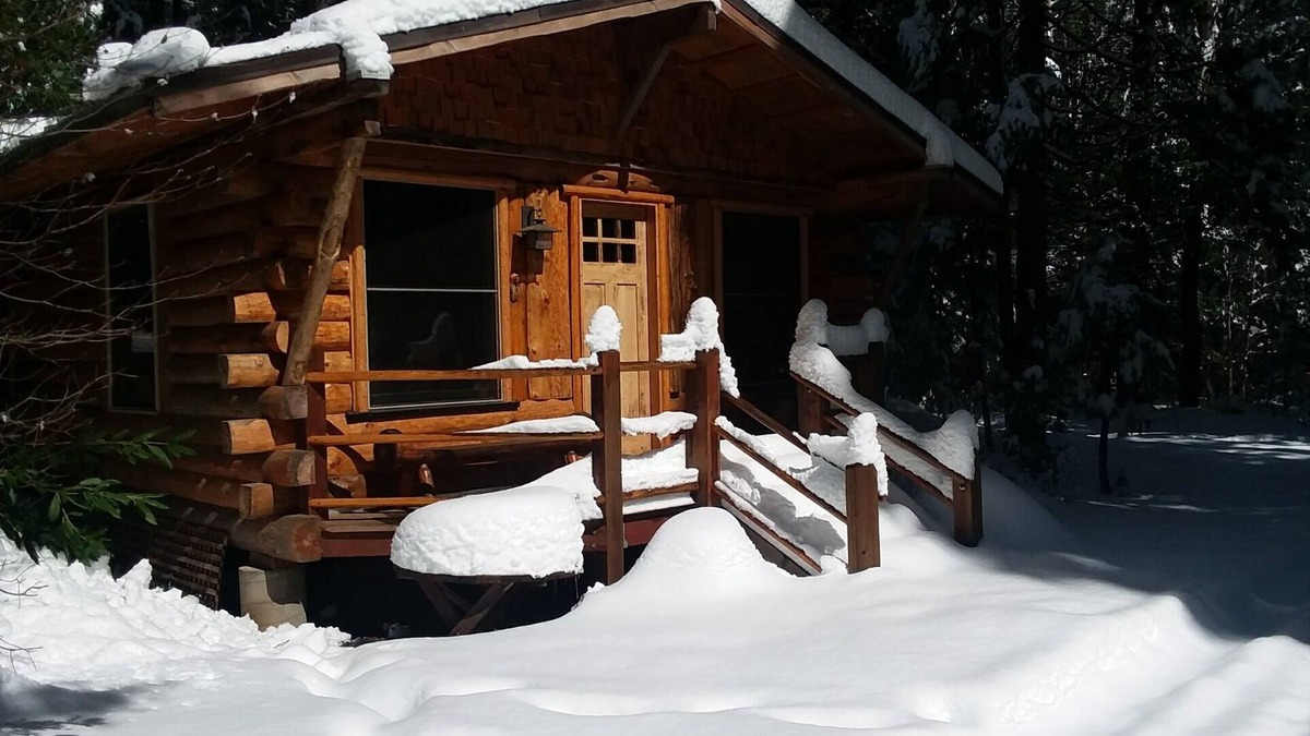 Nevada City Cabin | Rustic mountain retreat - escape to a hand-built cabin in the woods