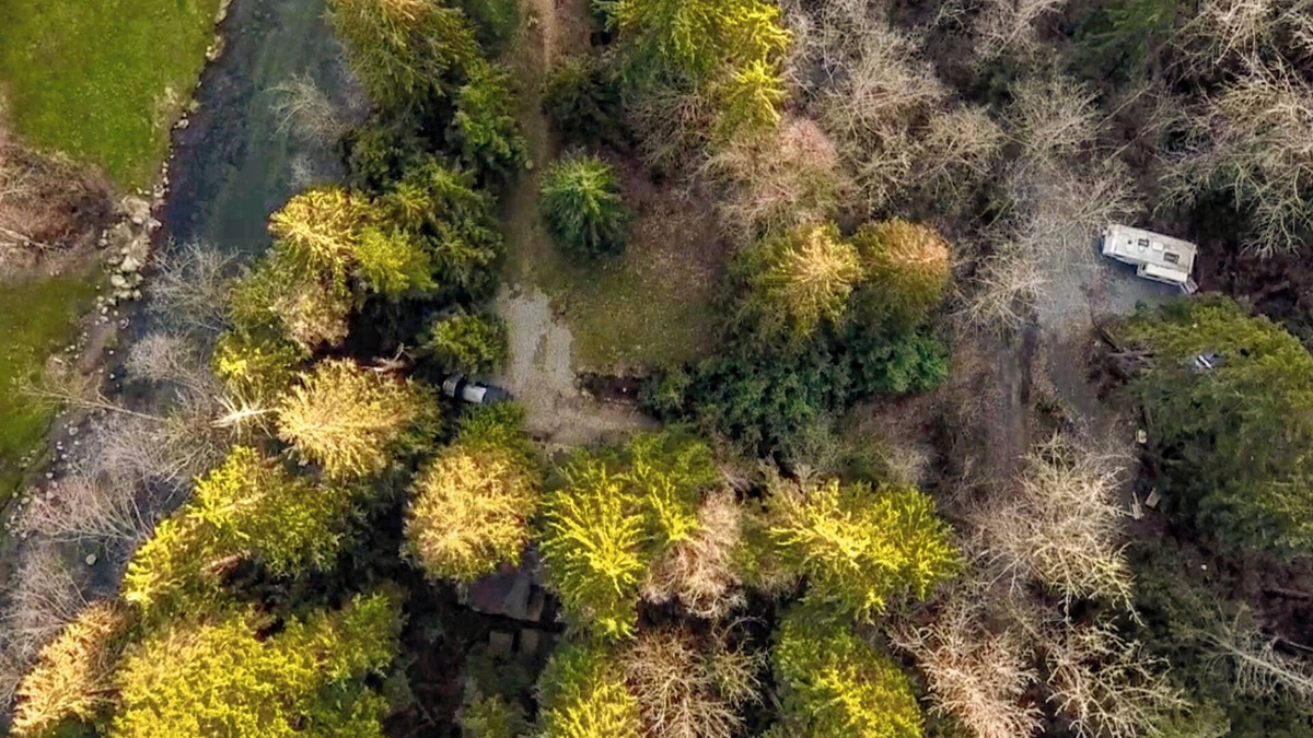 Maple Ridge Cabin | Rustic Old Cabin on the Alouette River