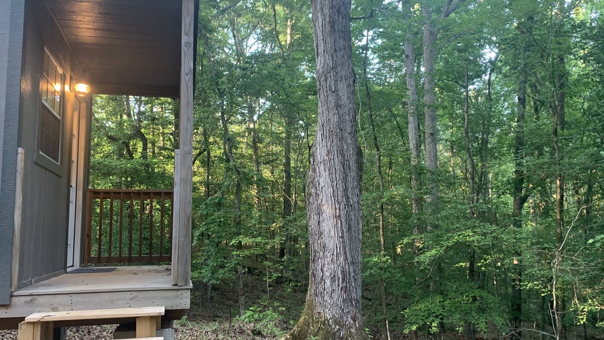 Lexington Cabin | Rustic Primitive Cabin near Athens GA!