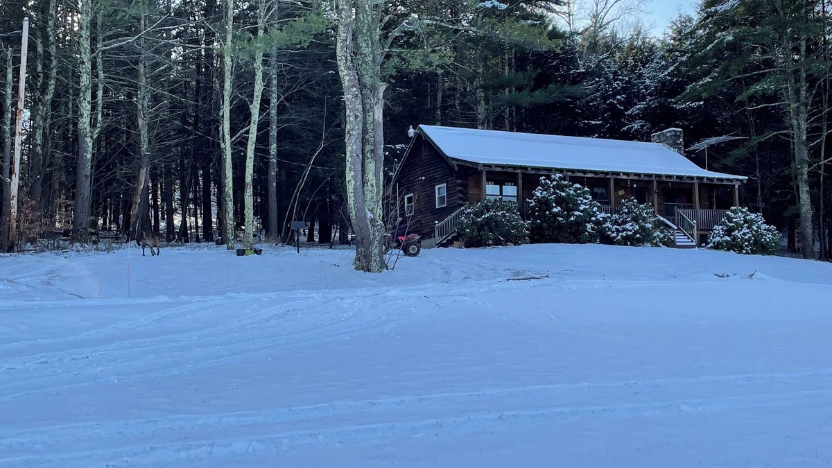 Wells House | Rustic Retreat Cozy and Pet friendly Log Cabin in the Woods.