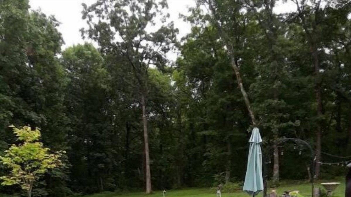 Warrensburg Apartment | Rustic Suite Between Warrensburg and Knob Noster