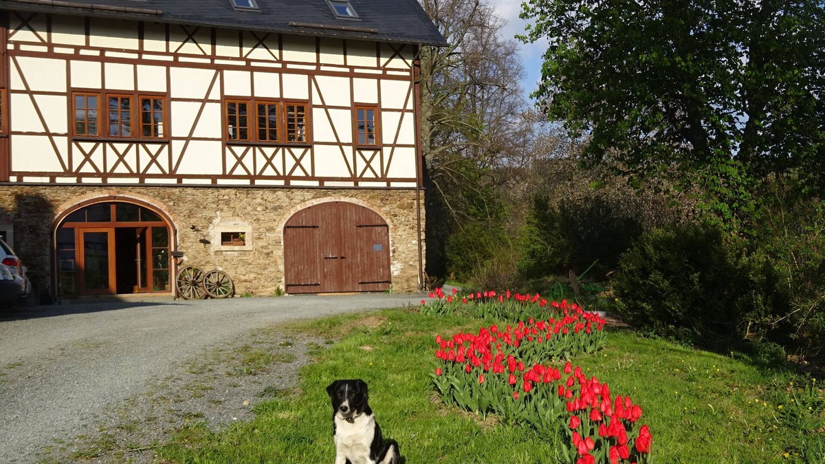 Grießbach Apartment | Rustic vacation in the "barn"