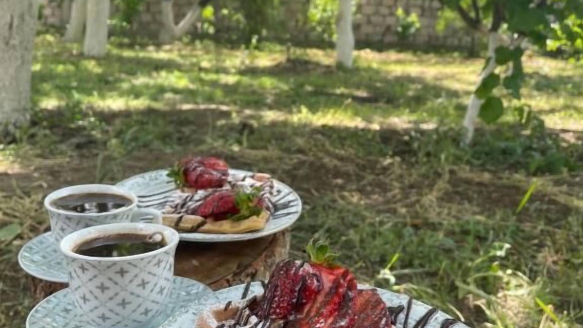Yerevan House | Ruz & Arian Near Zvartnots Airport