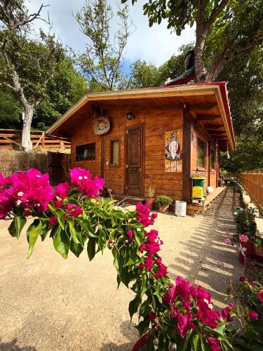 Pavliani House | RVilla