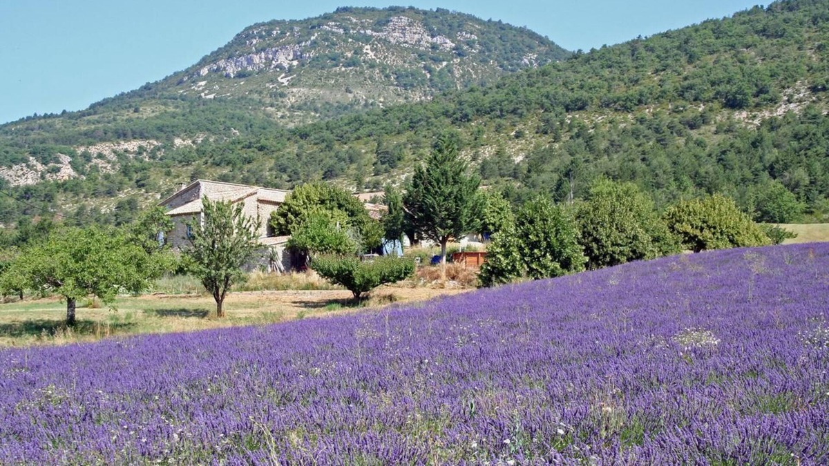 Saint-Auban-sur-L'Ouveze Apartment | Séjours/ activités sportives en drome provençale