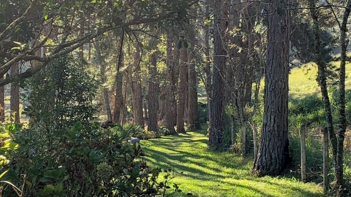 Juquitiba Cottage | Sítio do Mingo: Country house - The best of nature close to São Paulo!