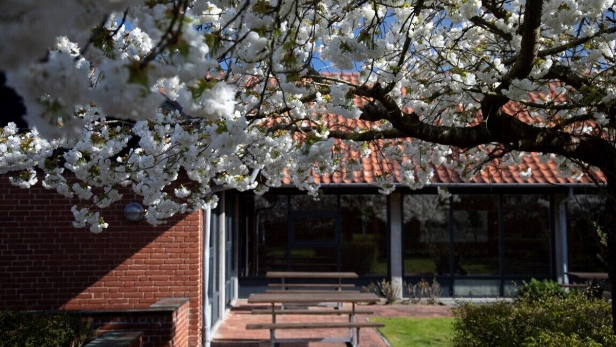 Sønderborg Hotel | Sønderborg City Hostel