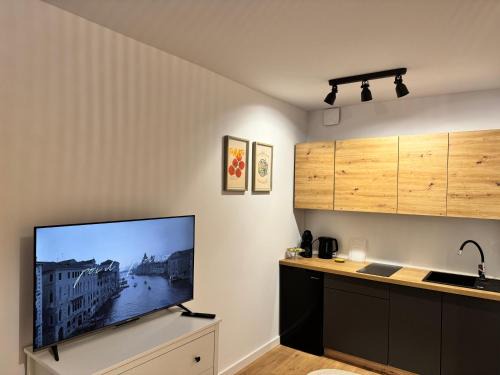 Gluszyca Apartment | Słoneczne studio