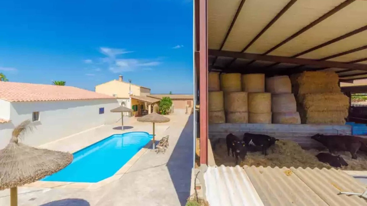 Es Palmer Ski Chalet | Sa Caseta De Ses Vaques.son Covas - Country House