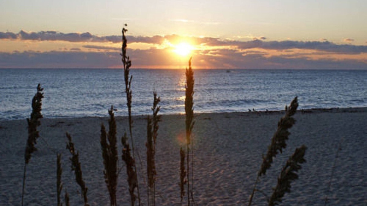 Parrot Cove Bed & Breakfast | Sabal Palm House Bed & Breakfast