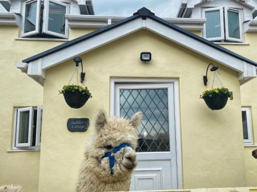 Clynderwen House | Saddlers Cottage, Berllandeg Farm