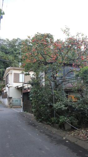 Tama Ward House | Sadie's Home