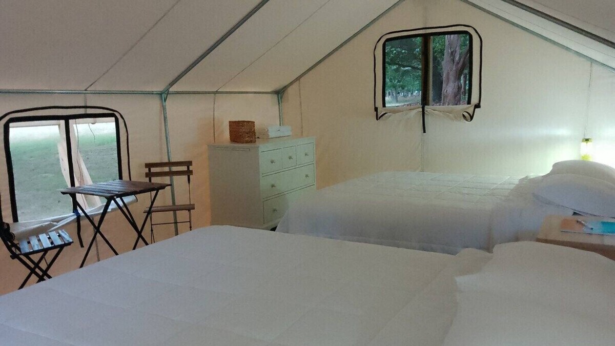 Northwest Harbor RV Rental | Safari Tent Glamping,D27-CedarPt, East Hampton, NY