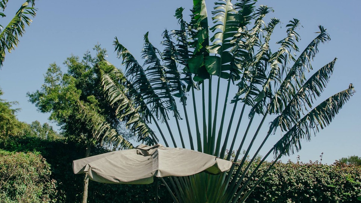 Bomet Hotel | Sahara Gardens Bomet